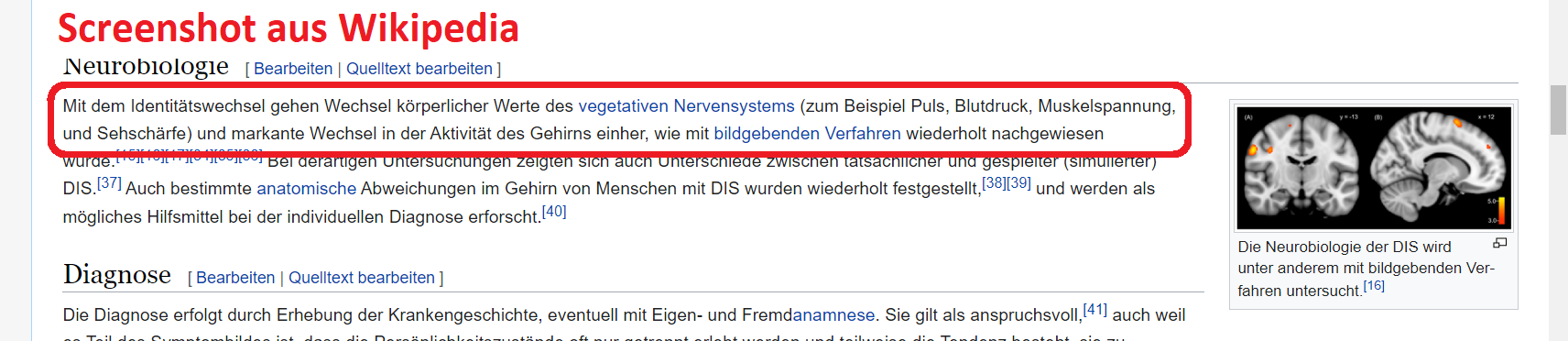 Multiple Pers Wiki 2
